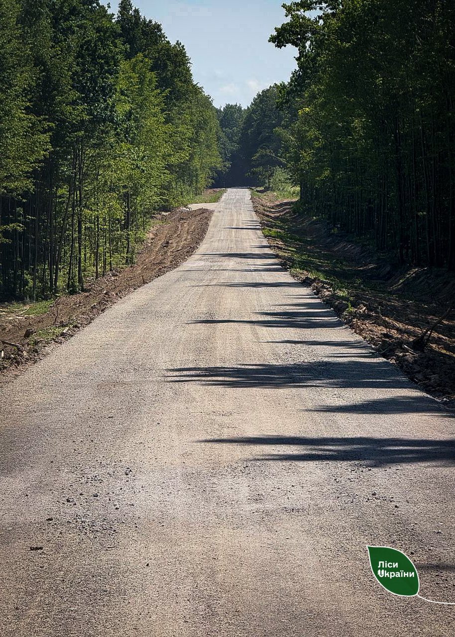 На Волині здали в експлуатацію кілька нових лісових доріг