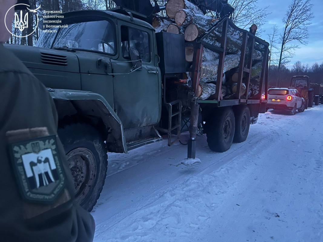 На Волині у заповіднику впіймали чоловіків, які незаконно різали й вивозили деревину