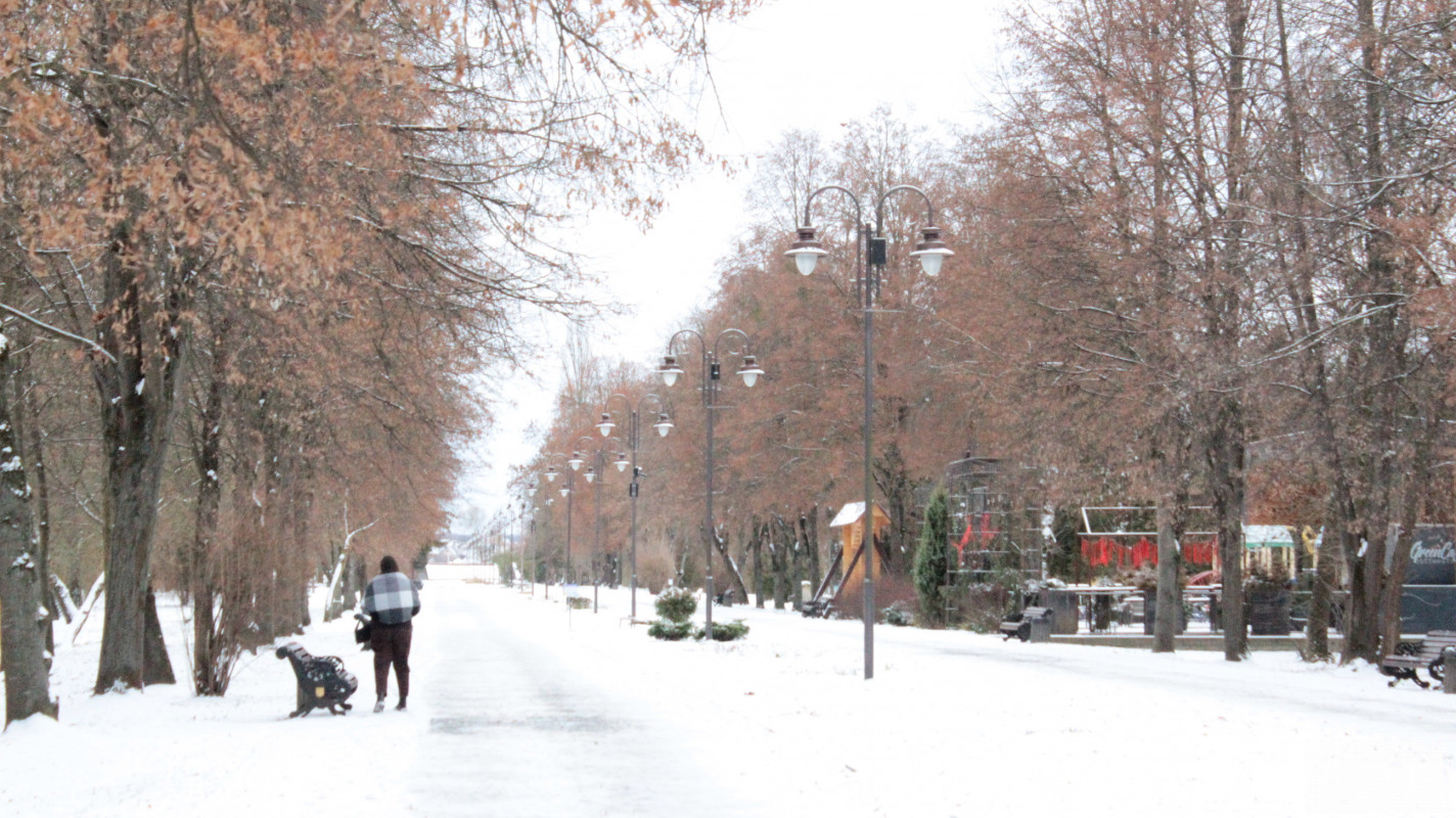 Як виглядає центральний парк у Луцьку у перші дні 2026 року. Фоторепортаж