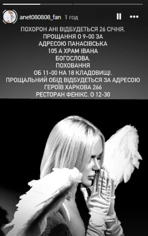 Чоловік у реанімації, син вийшов з коми: що відомо про трагедію з блогеркою Анною Жук