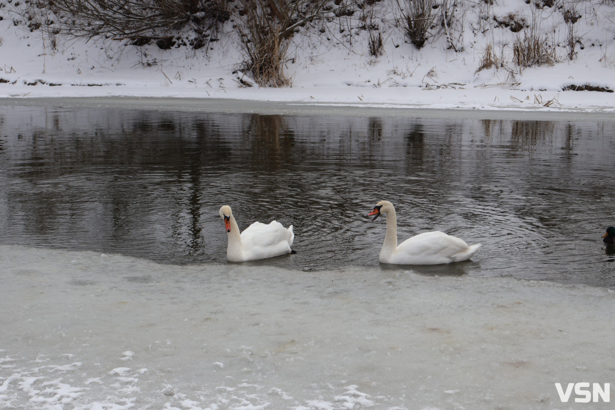 Які громади на Волині можуть опинитися під загрозою затоплення
