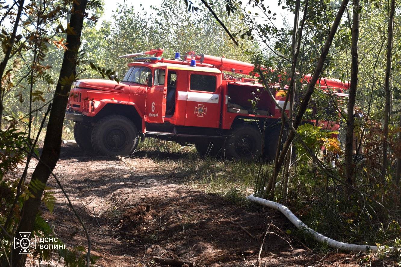 У Луцькому районі триває лісова пожежа: ліквідовано 7 га, залишилося 18 га