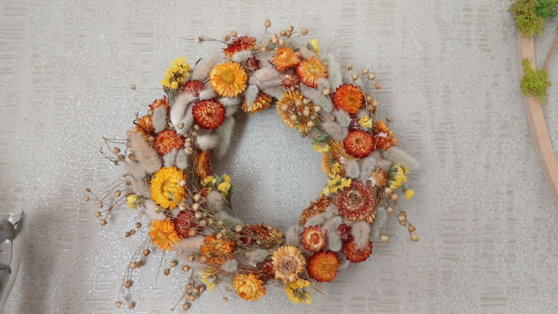 Як виростити зайцехвіст у саду та вдома: прості поради від досвідченої квітникарки з Волині