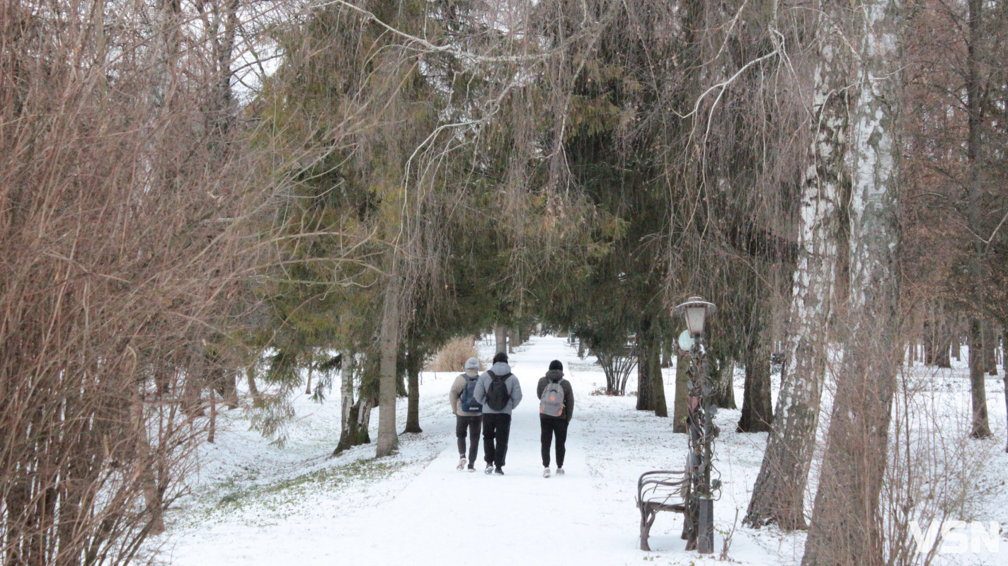 Як виглядає центральний парк у Луцьку у перші дні 2026 року. Фоторепортаж