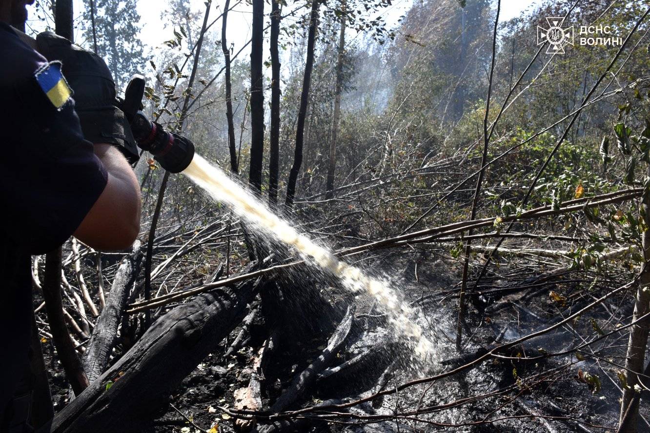 У Луцькому районі триває лісова пожежа: ліквідовано 7 га, залишилося 18 га