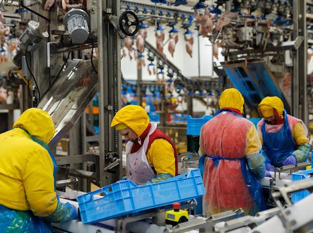 60 млн євро інвестицій у Волинь: Avesterra Group Дмитра Добкіна відкрила новий завод