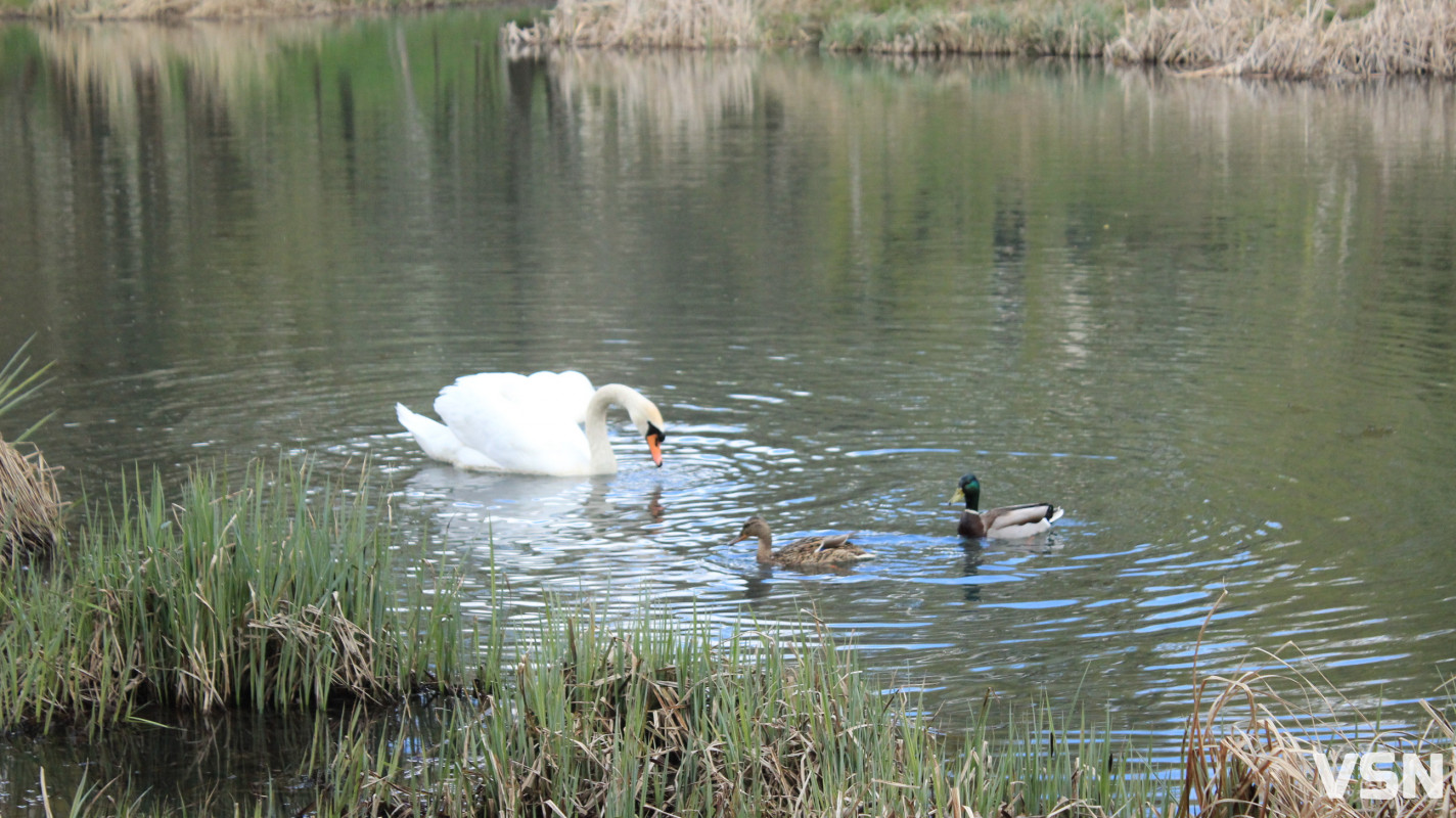 Як виглядає парк 900-річчя у Луцьку навесні 2026. Фоторепортаж