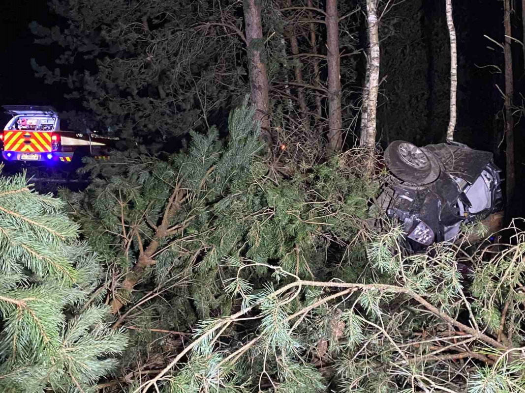 Авто перекинулося та застрягло між деревами: на Волині рятувальники «вирізали» водія з машини