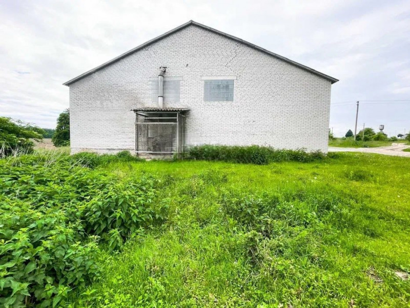 Його потужність - 15 тонн на добу: на Волині виставили на продаж млин