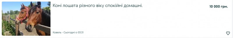 Скільки коштують коні та лошата на Волині?