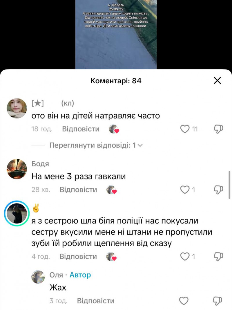 Дід і зграя собак тероризують Ковель: люди бояться виходити на вулицю