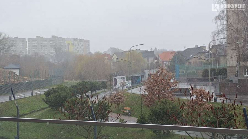 Зима повертається: у Луцьку - весняний снігопад