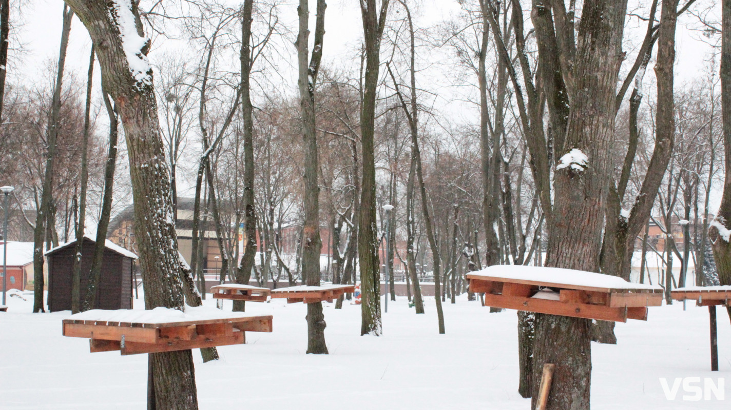 Ковель після снігопадів: фоторепортаж із засніженого міста