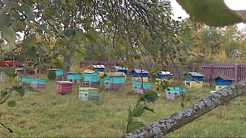 Зареєстровані 20 людей і жодної дитини: як живуть у віддаленому селі на Волині