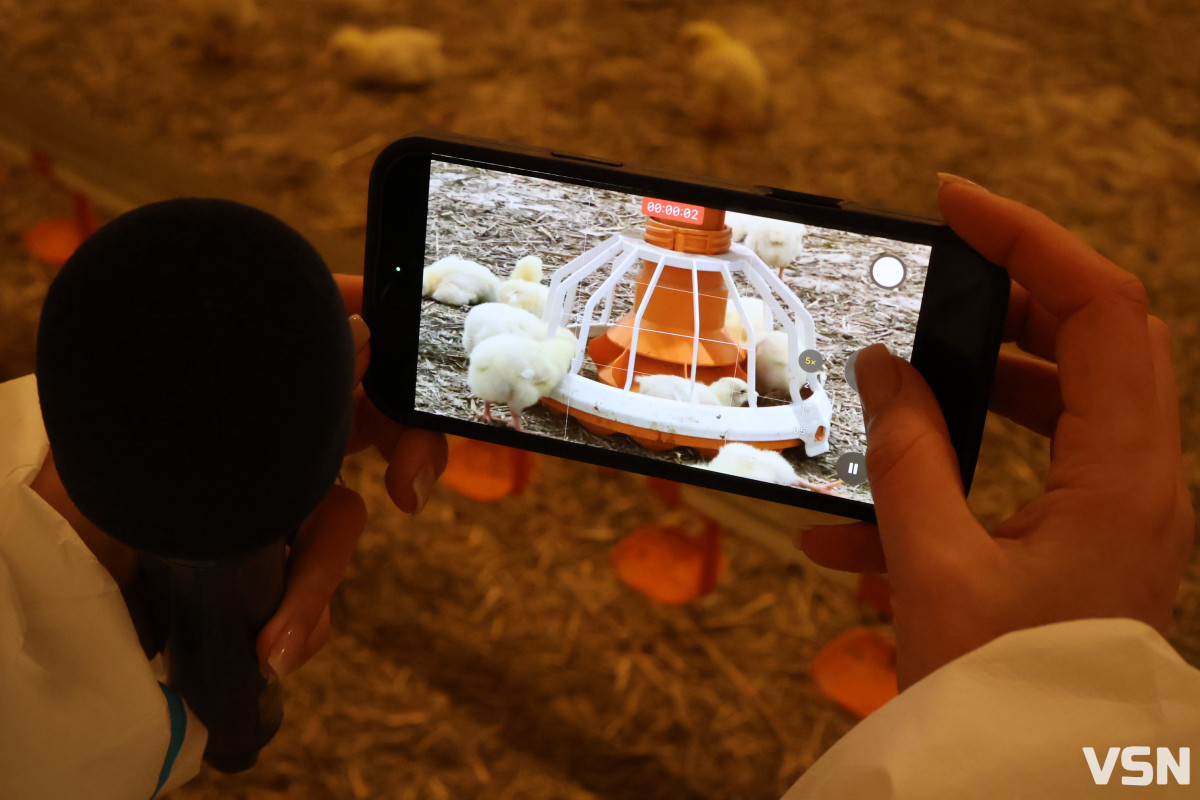 Avesterra Group відкрила на Волині сучасний комплекс із вирощування курчат-бройлерів за 15 мільйонів євро