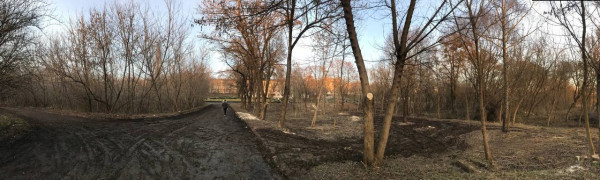 У Луцьку взялися за розчистку «дикої» частини Центрального парку