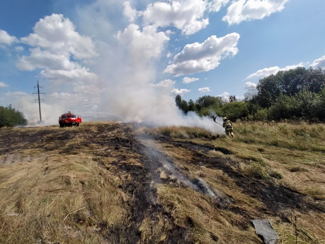 На Волині горіли чагарники