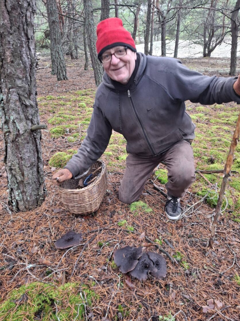 На Рівненщині чоловік у грудні збирає кошиками гриби. Фото