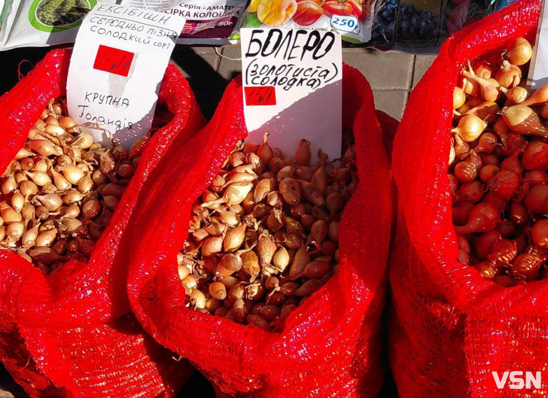 Скільки коштує цибуля-сіянка на ринку у Луцьку?