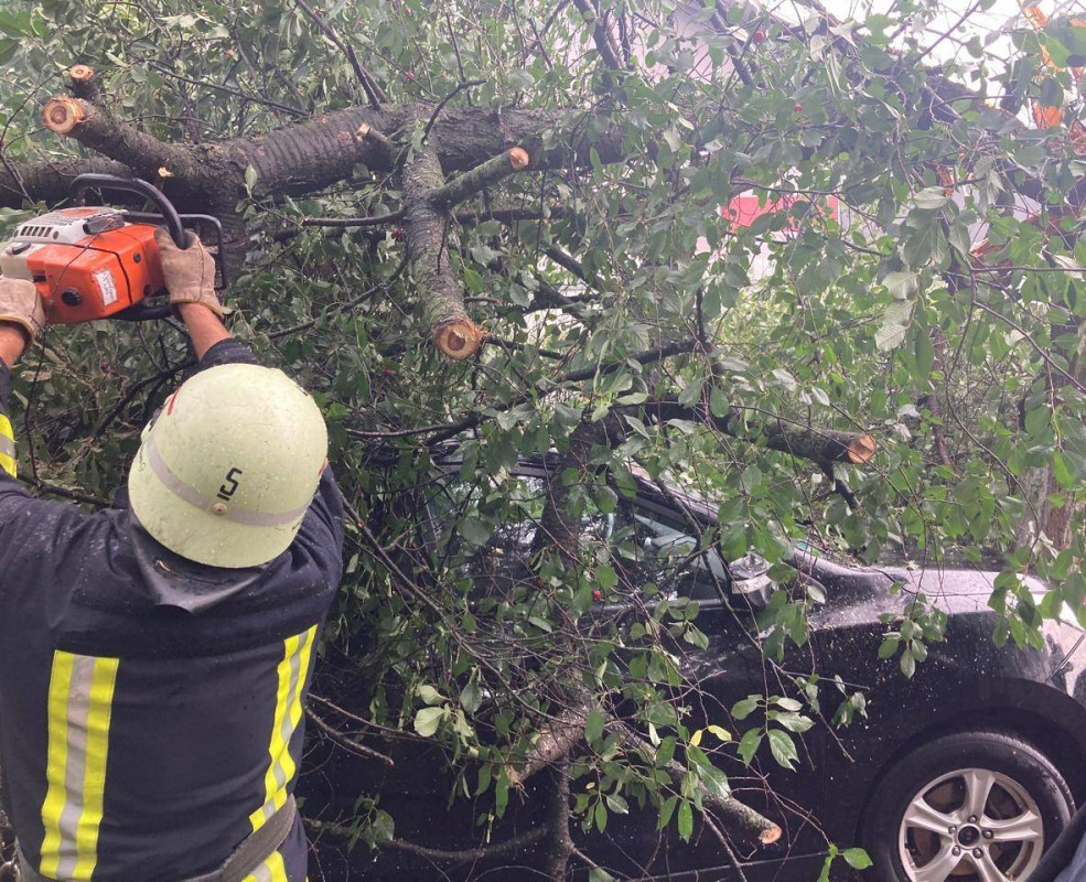 Заблоковане авто та перекритий рух транспорту на Волині негода повалила дерева