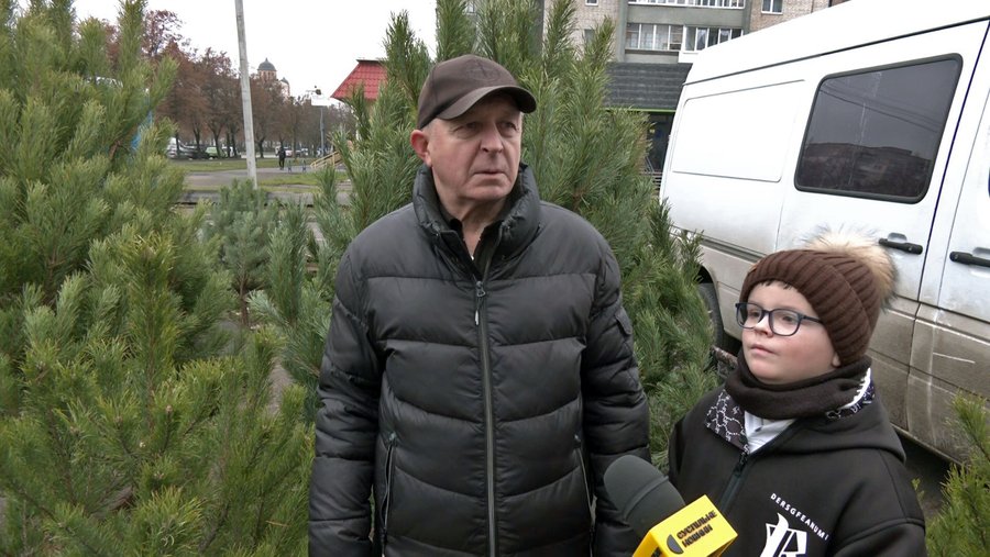 У Луцьку вже можна купити ялинку. Скільки коштують хвойні дерева до свят