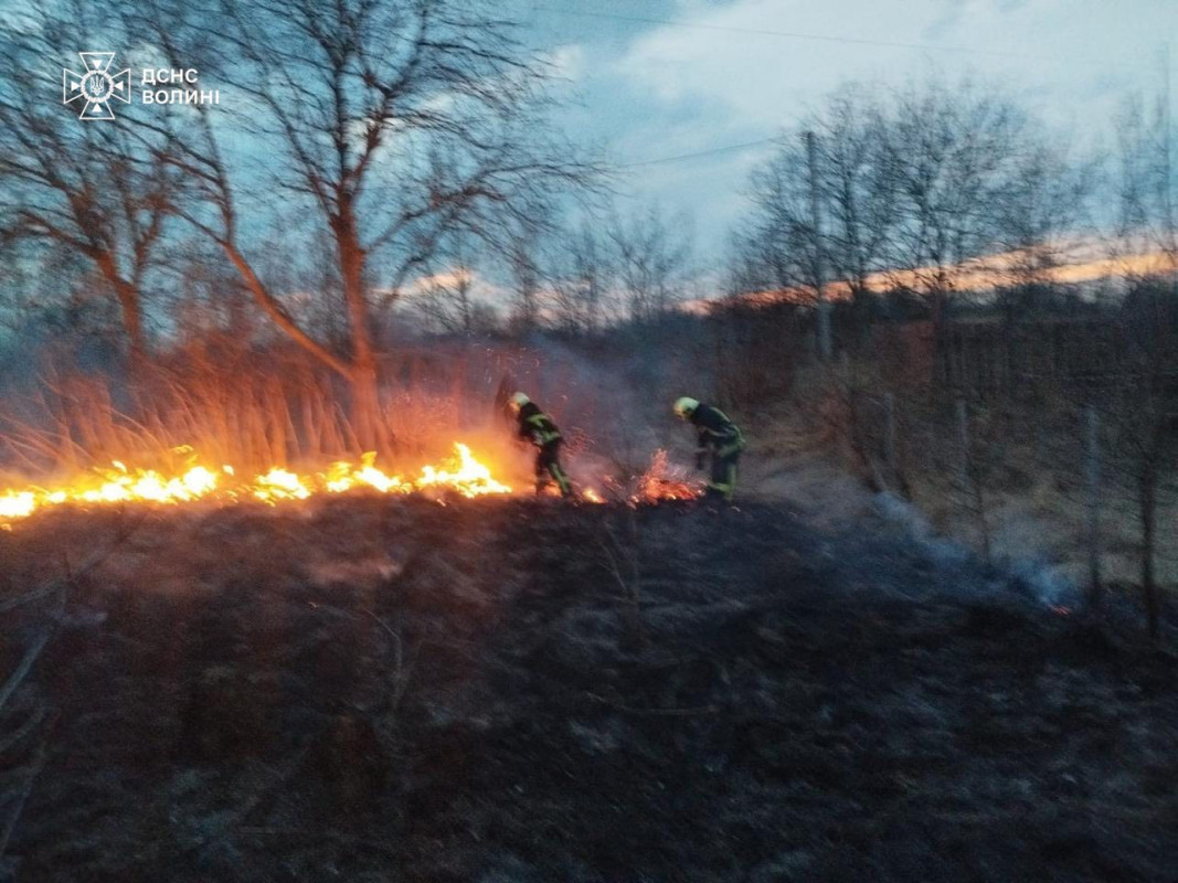 На Волині через людську недбалість вигоріло близько 8 га сухої трави та чагарників