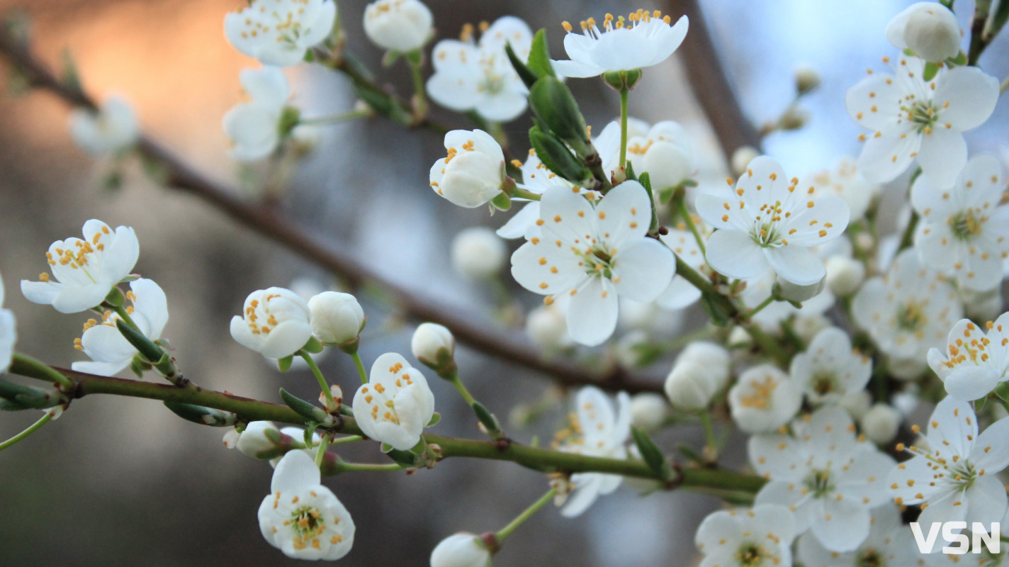 Як виглядає парк 900-річчя у Луцьку навесні 2026. Фоторепортаж