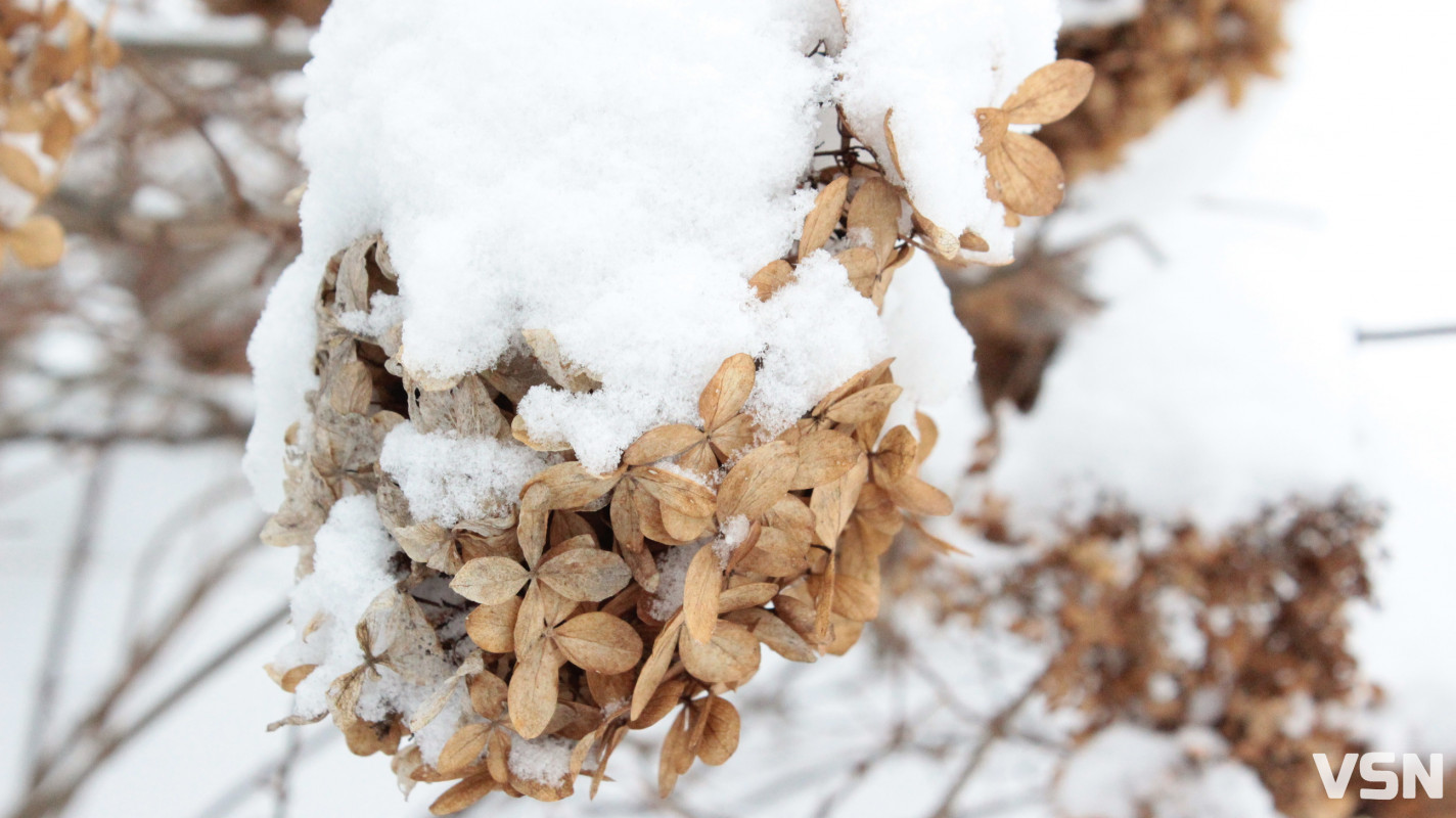 Ковель після снігопадів: фоторепортаж із засніженого міста