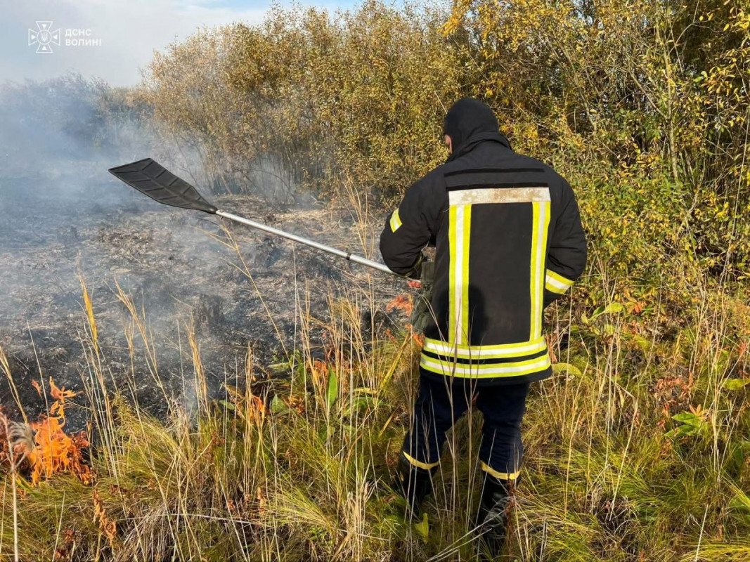 На Волині за добу вигоріло понад шість гектарів у п’яти локація: оштрафували одного палія