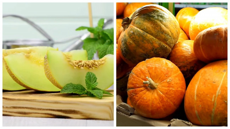 Найкращі дні для посадки кавунів і динь у квітні, травні та червні