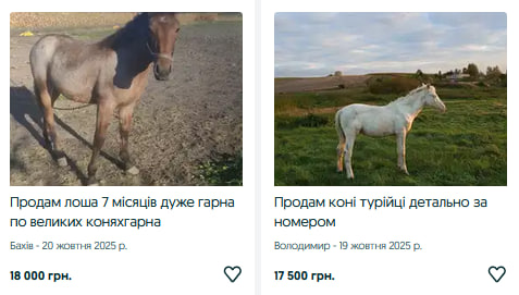 Скільки коштують коні та лошата на Волині?