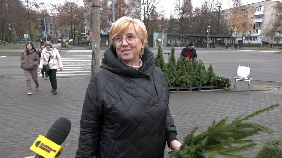 У Луцьку вже можна купити ялинку. Скільки коштують хвойні дерева до свят