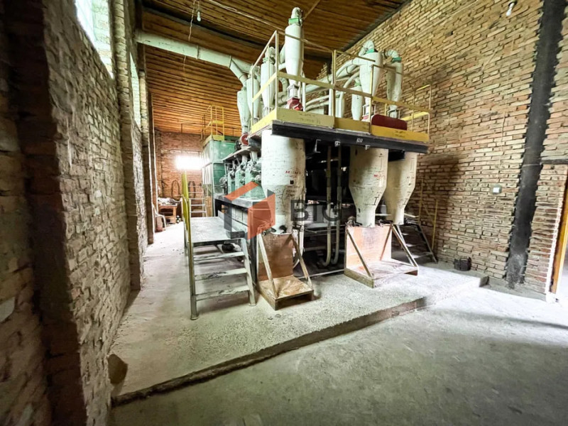 Його потужність - 15 тонн на добу: на Волині виставили на продаж млин