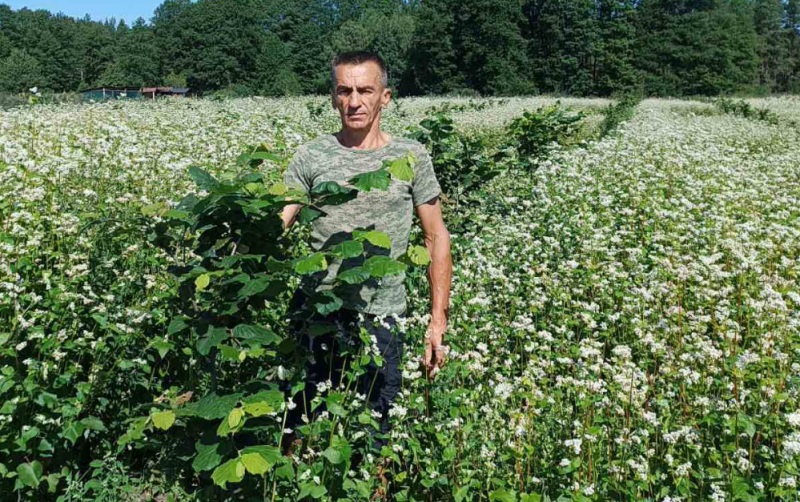 Від фронту до ферми: ветеран Сергій Балай вирощує фундук, обліпиху та кукурудзу
