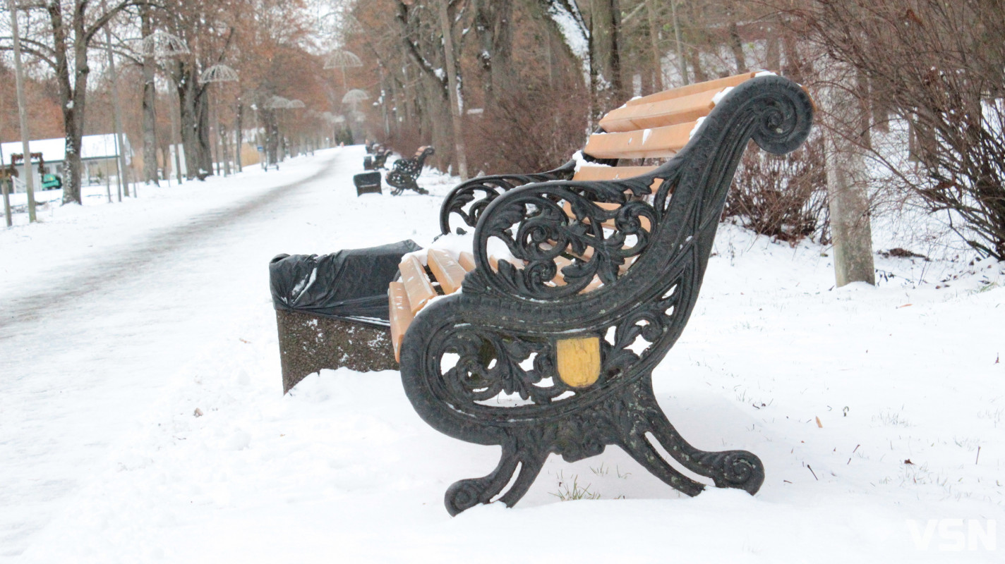 Як виглядає центральний парк у Луцьку у перші дні 2026 року. Фоторепортаж