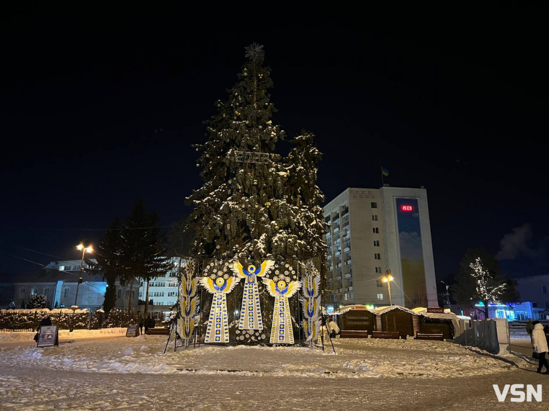 Від перших снігів до лютневих відлиг: якою була зима у Луцьку. Фоторепортаж