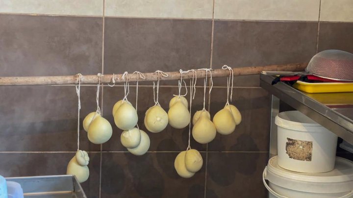 Із вчительки – у сироварки: як волинянка після навчання у Швейцарії створює авторські сири