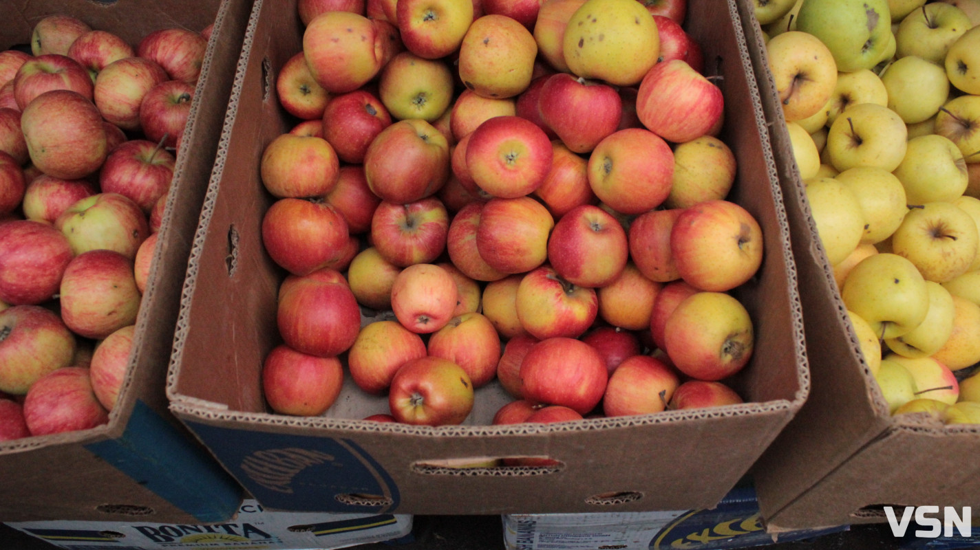 Скільки коштують яблука, гарбузи та картопля на Центральному ринку у Луцьку