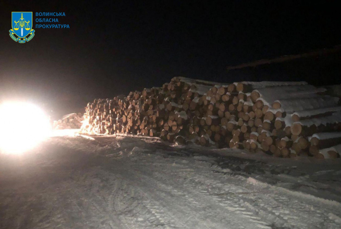 На Волині директор підприємства з підлеглими незаконно нарубали лісу на понад 4 млн грн