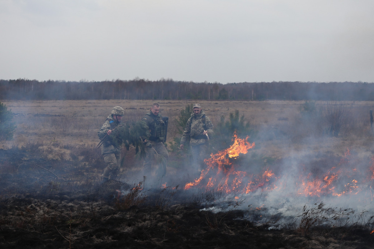 Бійці волинської бригади тероборони ліквідували пожежу в екосистемі