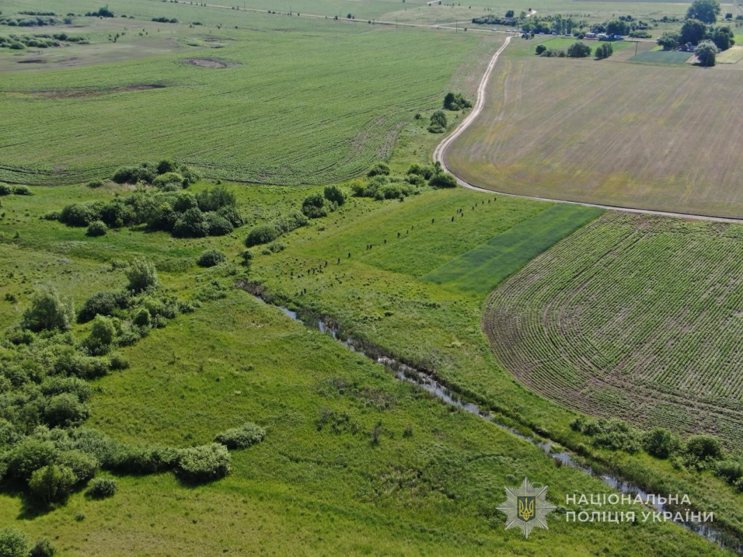 Понад місяць шукали як зниклу: на Волині розкрили вбивство 67-річної жінки