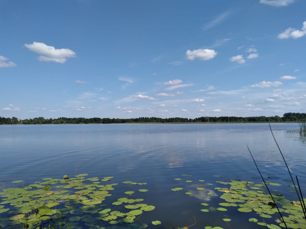 Чудово підійде для відпочинку, особливо для риболовлі: показали ще одне озеро на Волині. Фото