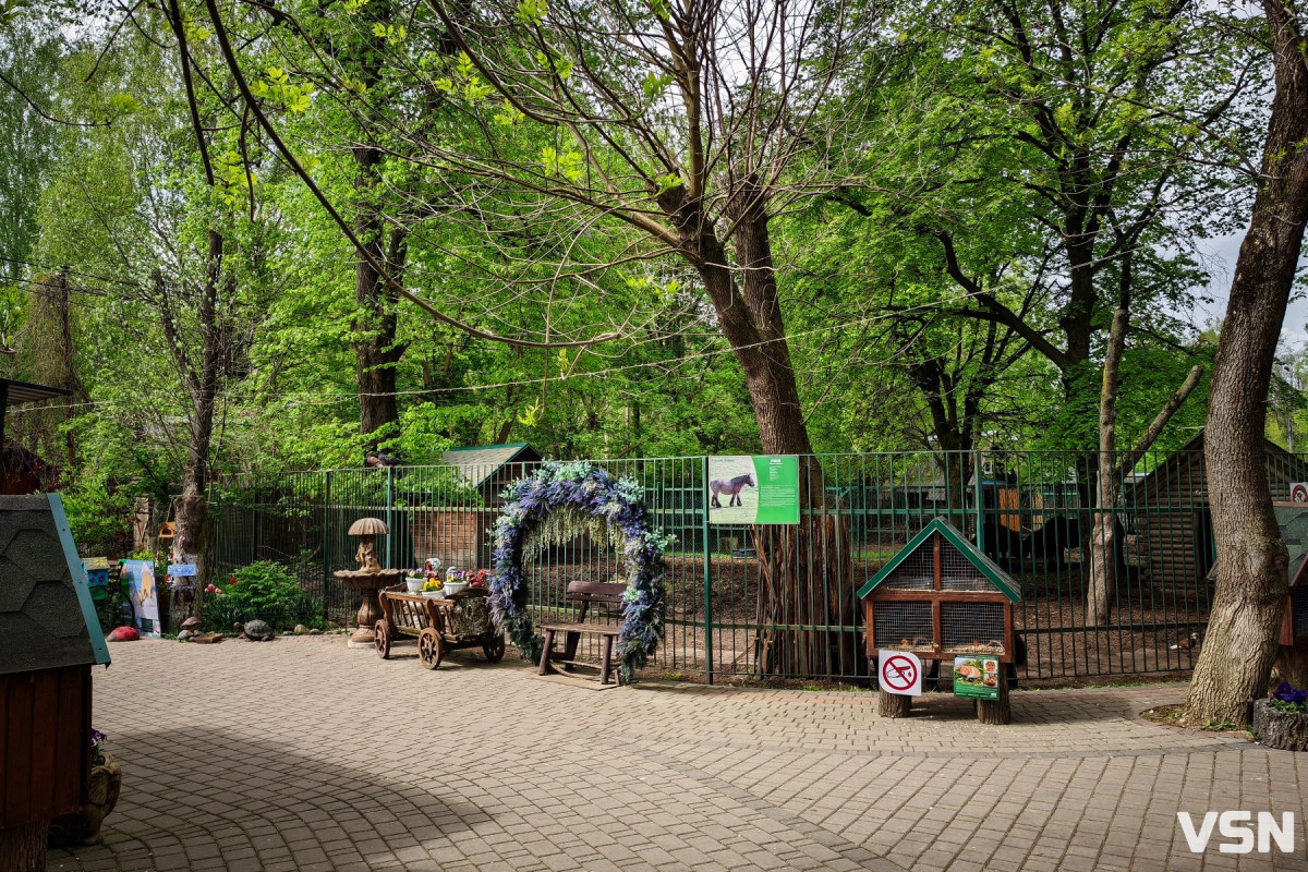 «Ми зайняли своє місце серед європейських зоопарків», - інтерв'ю з Людмилою Денисенко