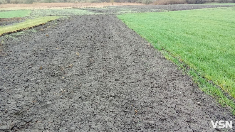 Скільки коштує виорати город на Волині?