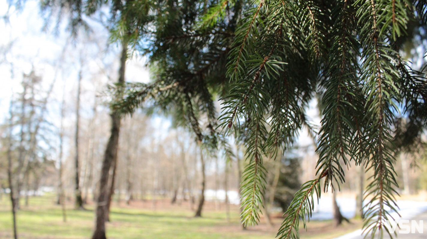 Весна у Луцьку: фоторепортаж із парку імені Лесі Українки