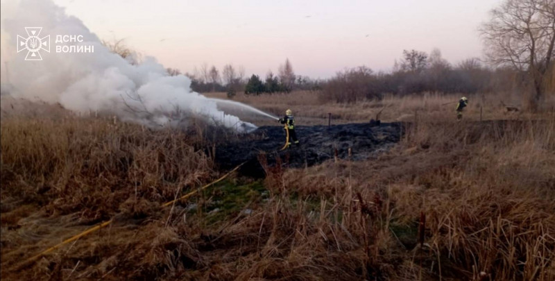 Палають поля: на Волині за день сталося шість пожеж сухостою