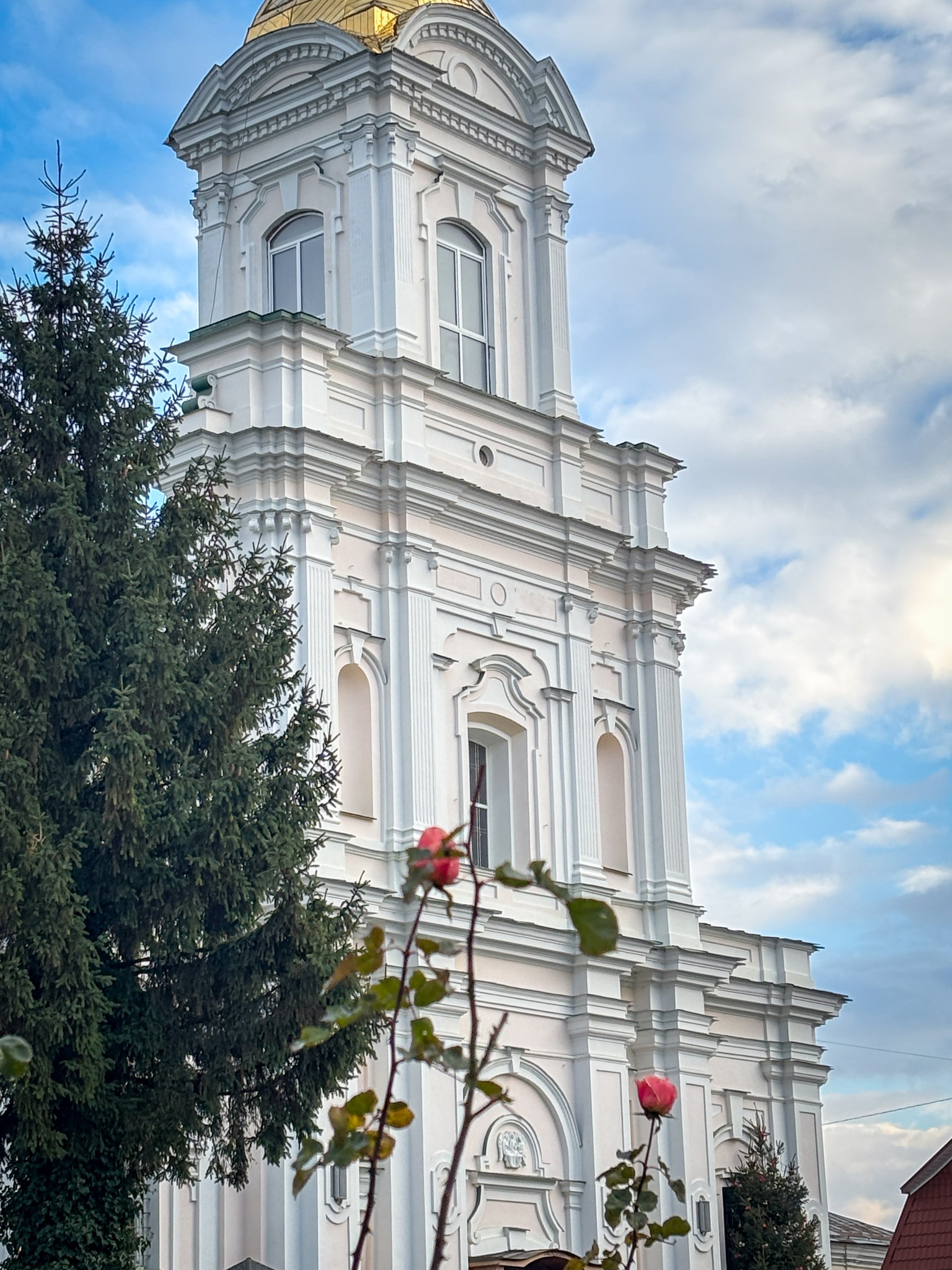 Передріздвяне диво у Луцьку: біля собору посеред зими розквітли квіти