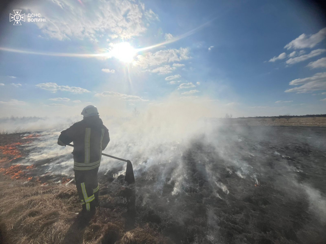 На Волині за добу загасили понад 14 гектарів вогню в екосистемах