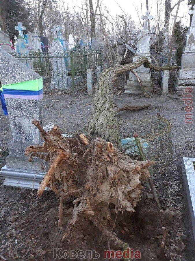 При падінні розбили пам’ятники: на Волині на кладовищі сильний вітер повалив дерева з корінням