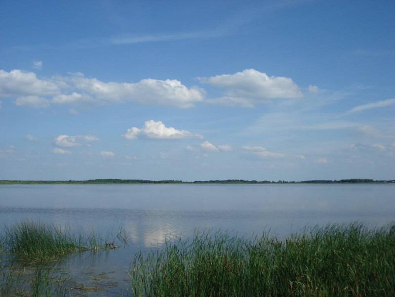 Не Світязем єдиним: де відпочити біля водойм на Волині влітку 2026 року